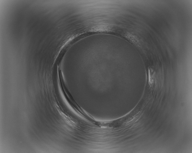 X0000058100204200509231008