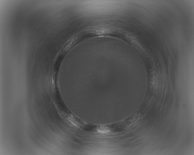 X0000058100214200509231008