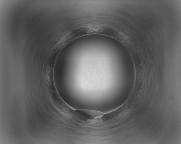 X0000058100215200509231008
