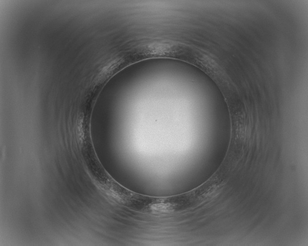 X0000058100216200509231008