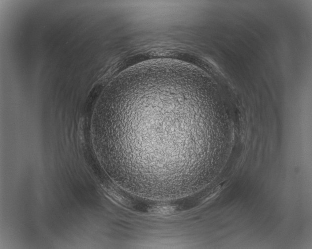 X0000058100217200509231008