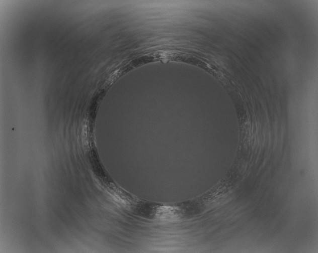 X0000058100222200509231008