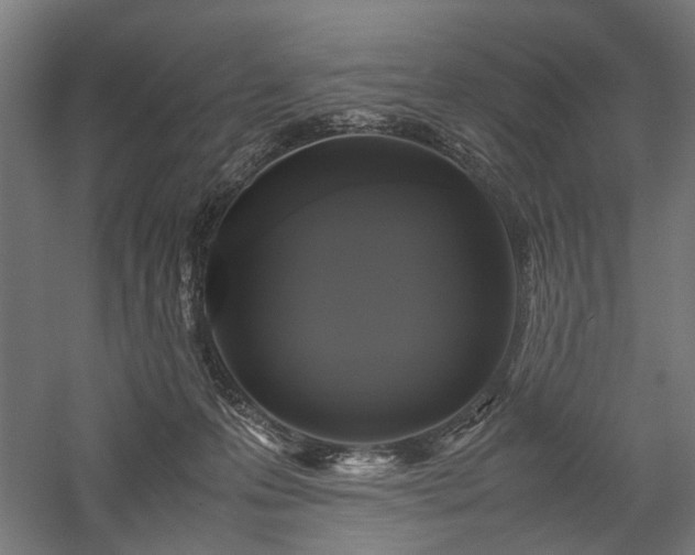 X0000058100223200509231008