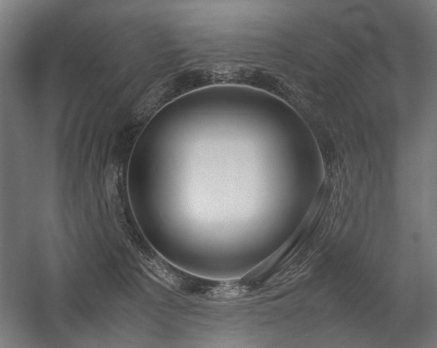 X0000058100225200509231008