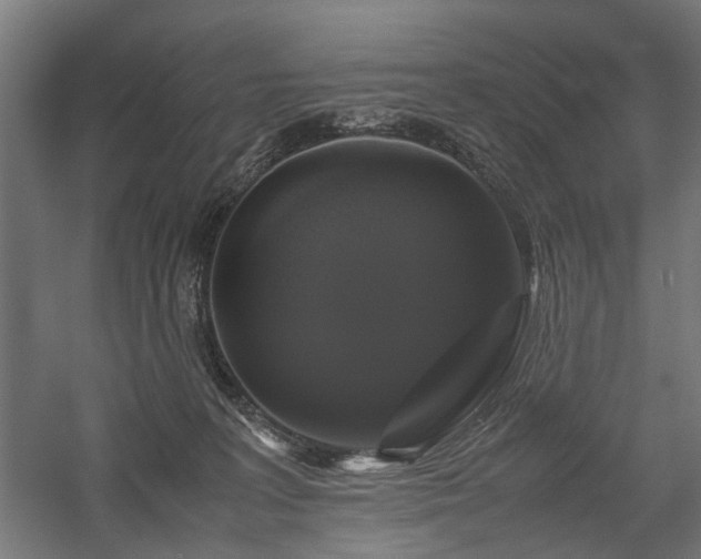 X0000058100227200509231008