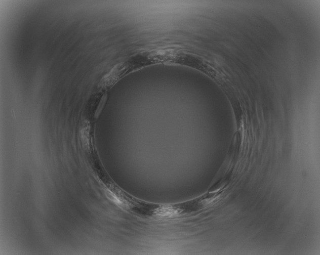 X0000058100231200509231008
