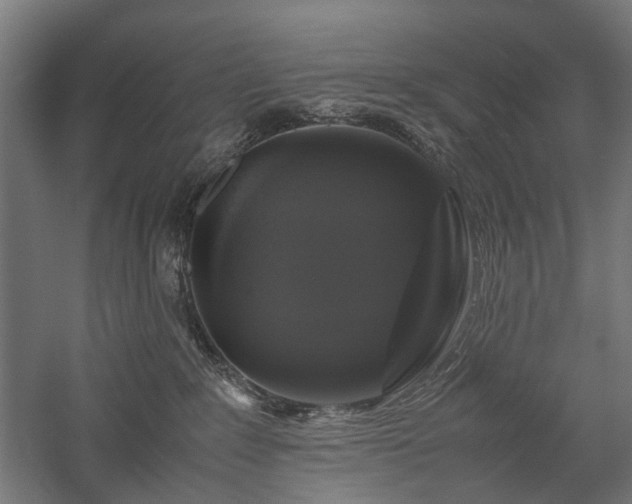 X0000058100235200509231008