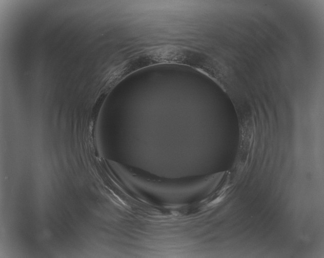 X0000058100239200509231008