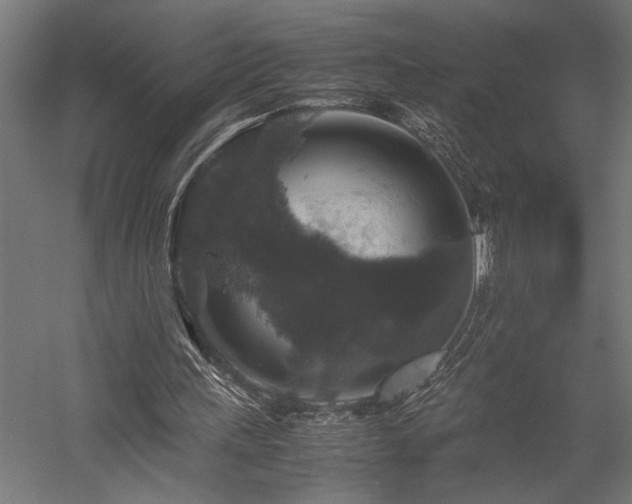 X0000058100243200509231007