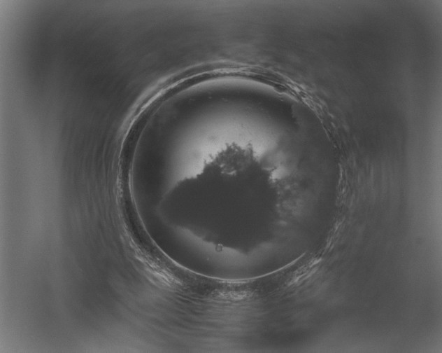 X0000058100247200509231007