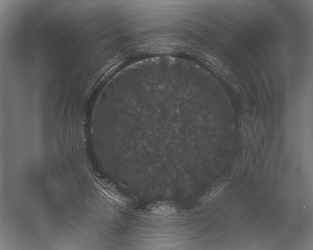 X0000058100258200509231007