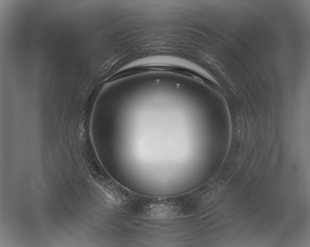 X0000058100259200509231007
