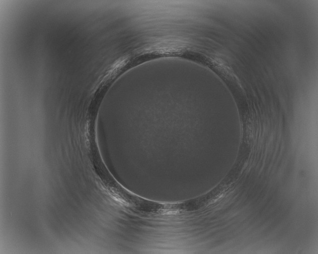 X0000058100260200509231007