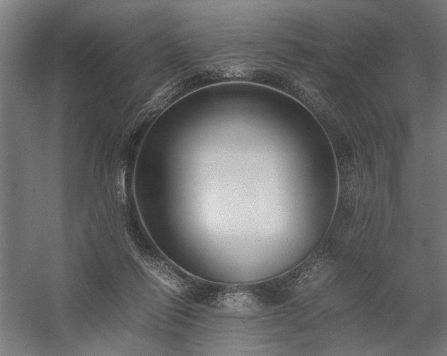 X0000058100262200509231007