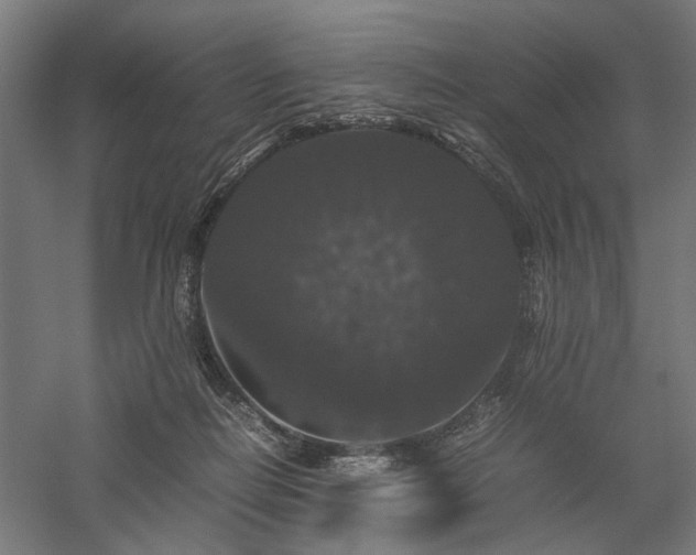 X0000058100266200509231007
