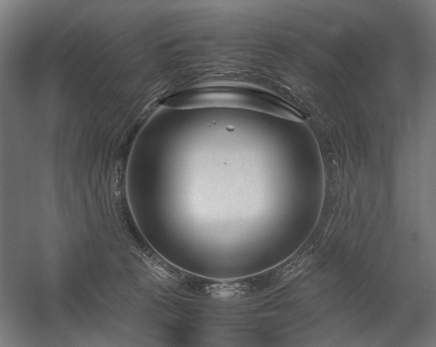 X0000058100273200509231007