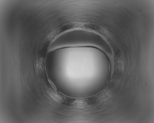 X0000058100280200509231008