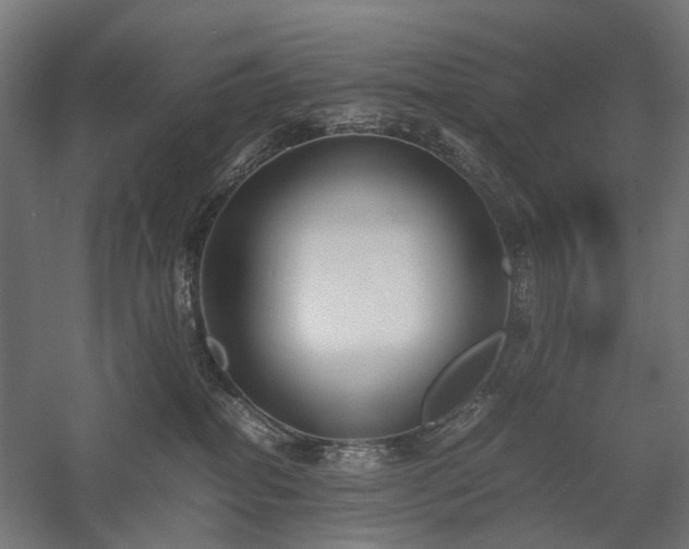 X0000058100282200509231008
