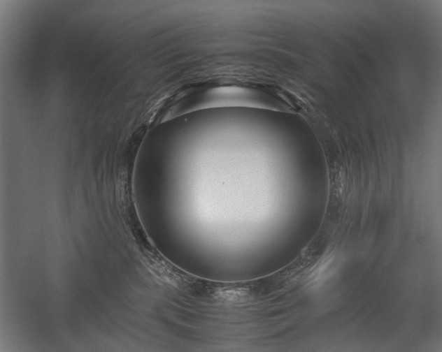 X0000058100283200509231008
