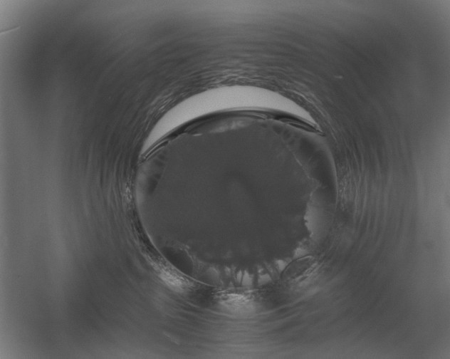 X0000058100285200509231008