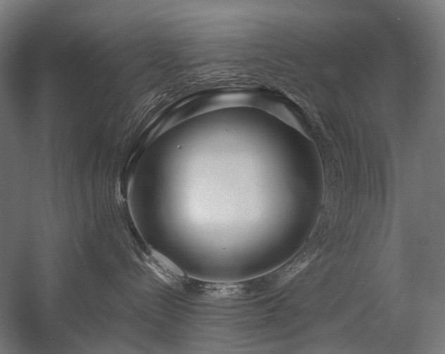 X0000058100288200509231008