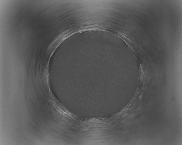 X0000058100290200509231007