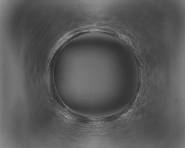 X0000058100295200509231007