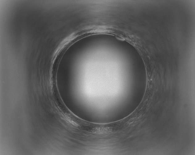X0000058100296200509231007