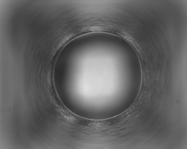 X0000058100297200509231007