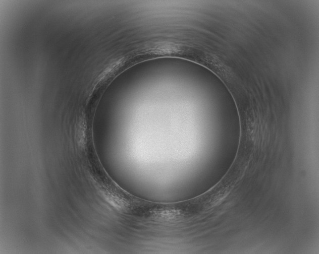 X0000058100304200509231007