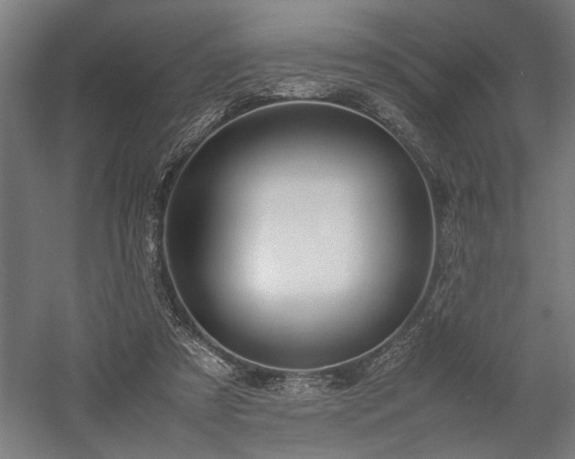 X0000058100305200509231007