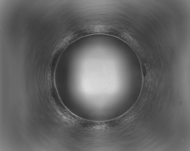 X0000058100306200509231007
