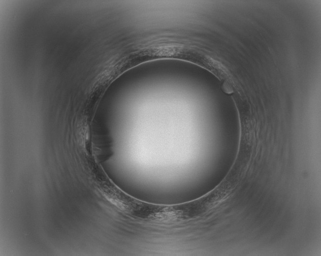 X0000058100307200509231007