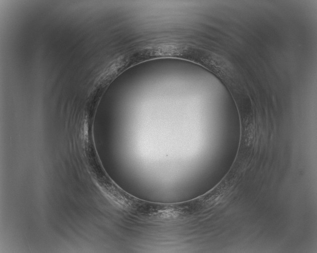 X0000058100310200509231007