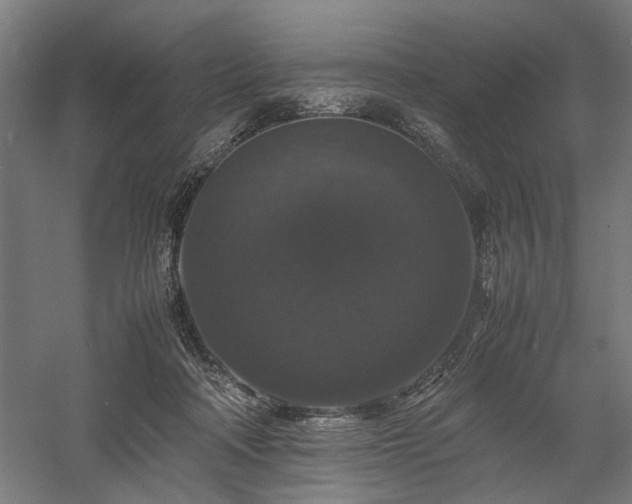 X0000058100314200509231006