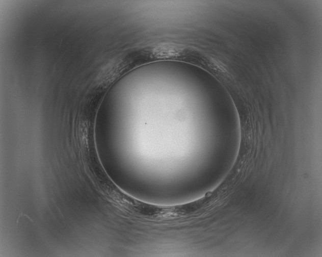 X0000058100315200509231006