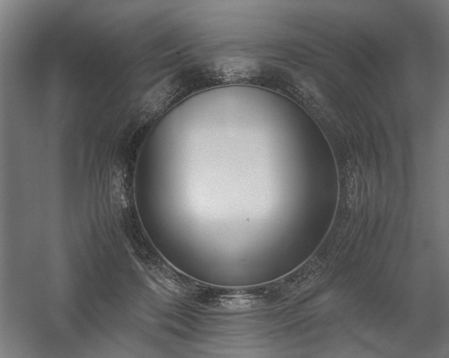 X0000058100316200509231006