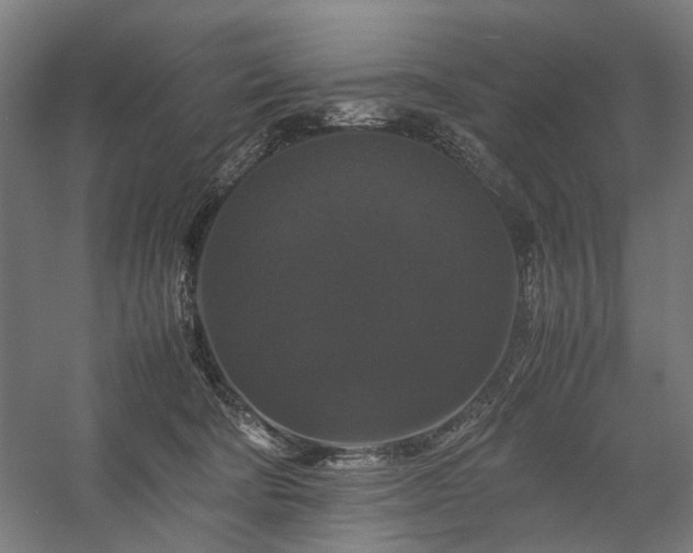 X0000058100322200509231006