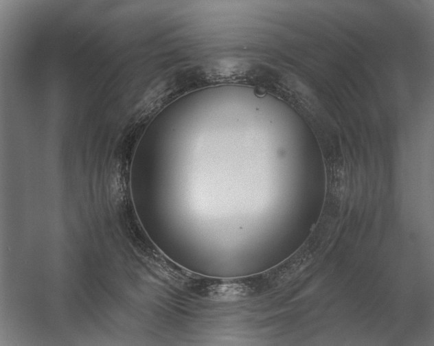 X0000058100324200509231006