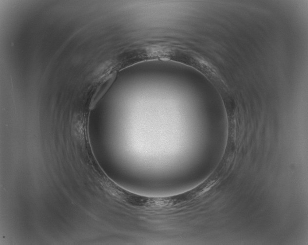 X0000058100329200509231006