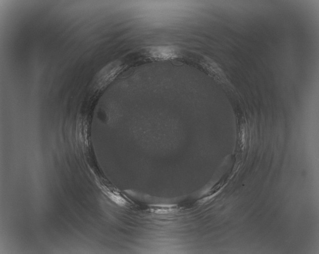 X0000058100330200509231006