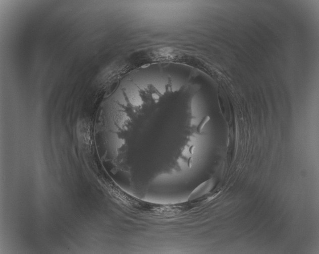 X0000058100331200509231006