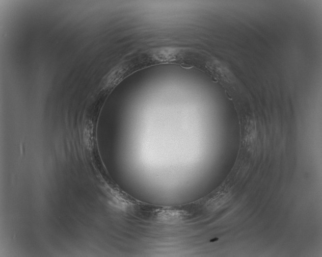 X0000058100332200509231006