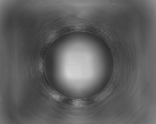 X0000058100336200509231006