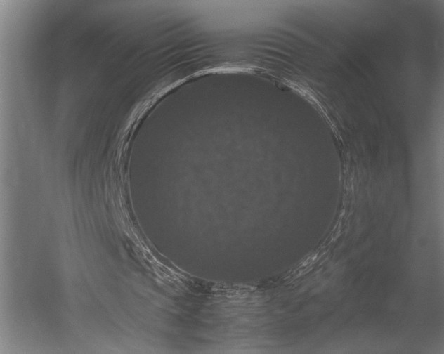 X0000058100337200509231005