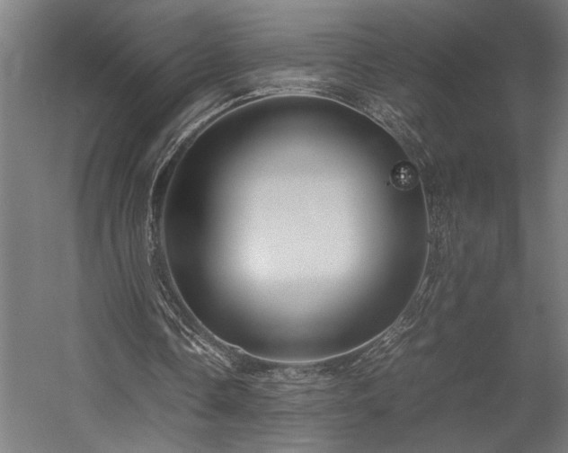 X0000058100338200509231005
