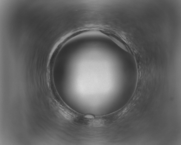 X0000058100342200509231005