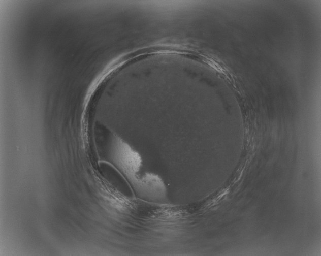 X0000058100343200509231005