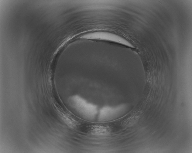 X0000058100347200509231005