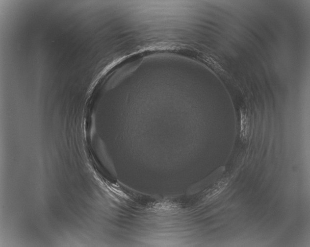 X0000058100348200509231005